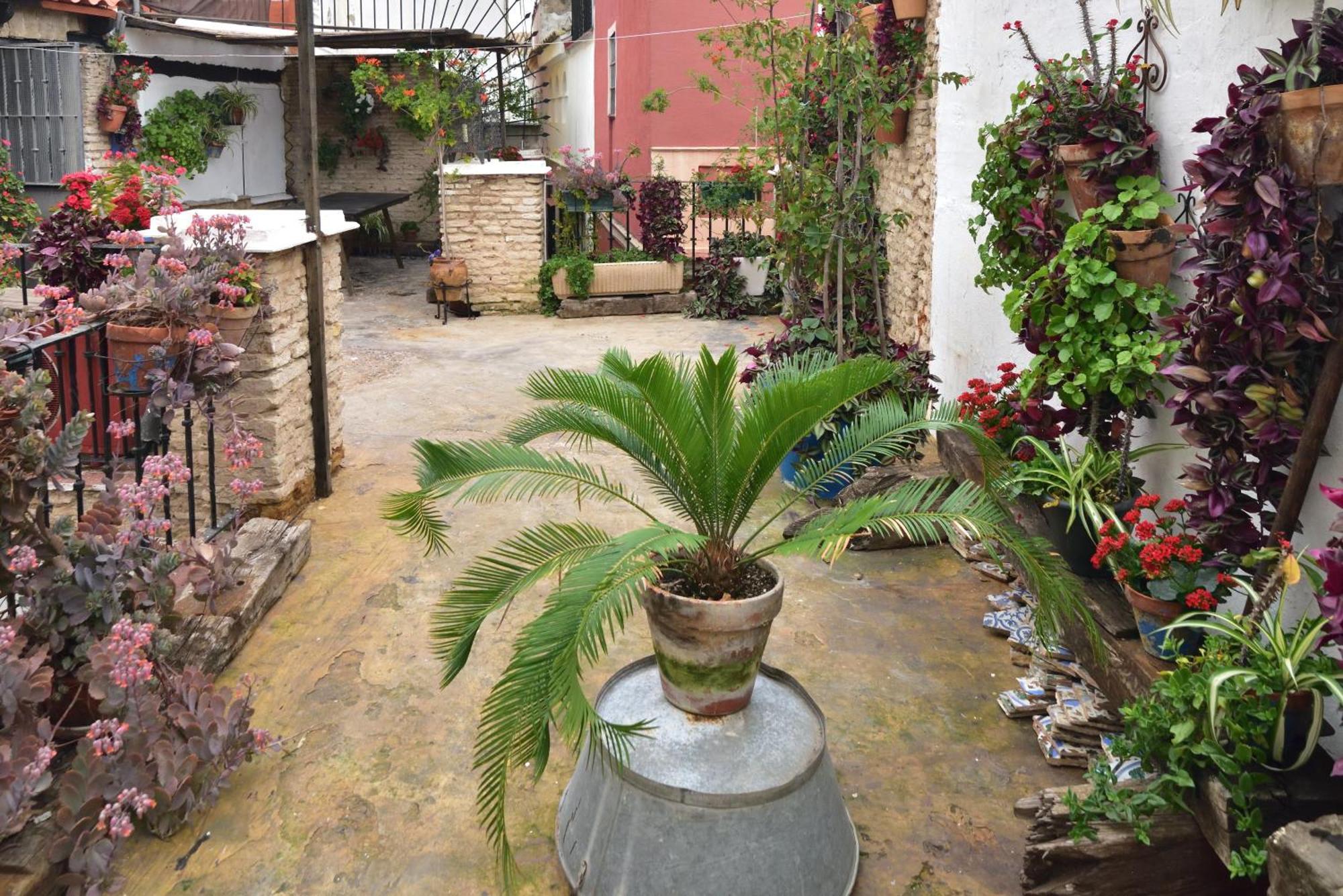 Suite Dona Ines Barrio Santacruz Sevilla Bagian luar foto