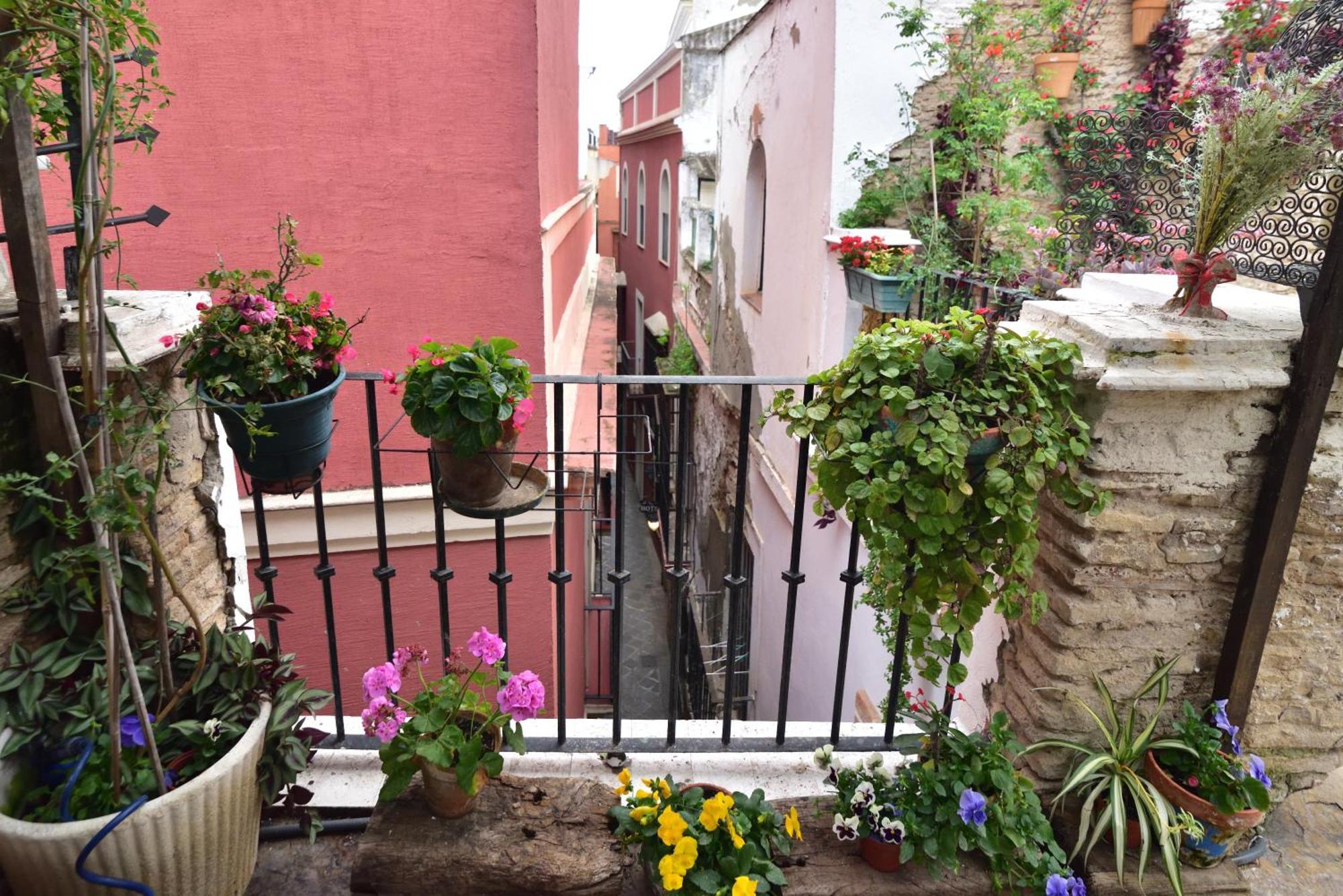 Suite Dona Ines Barrio Santacruz Sevilla Bagian luar foto